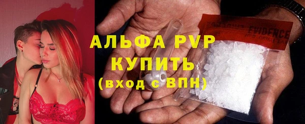 дмт Белокуриха