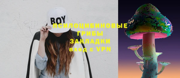 дмт Белокуриха