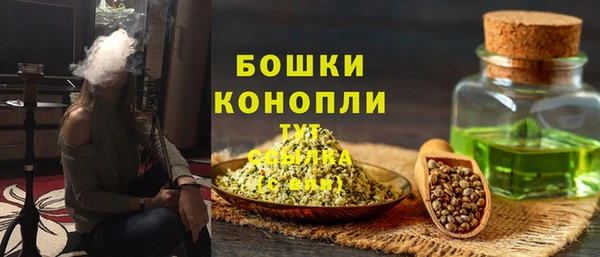дмт Белокуриха