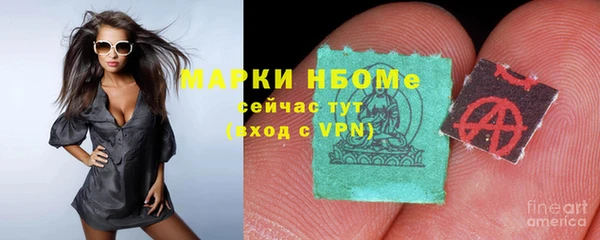 дмт Белокуриха